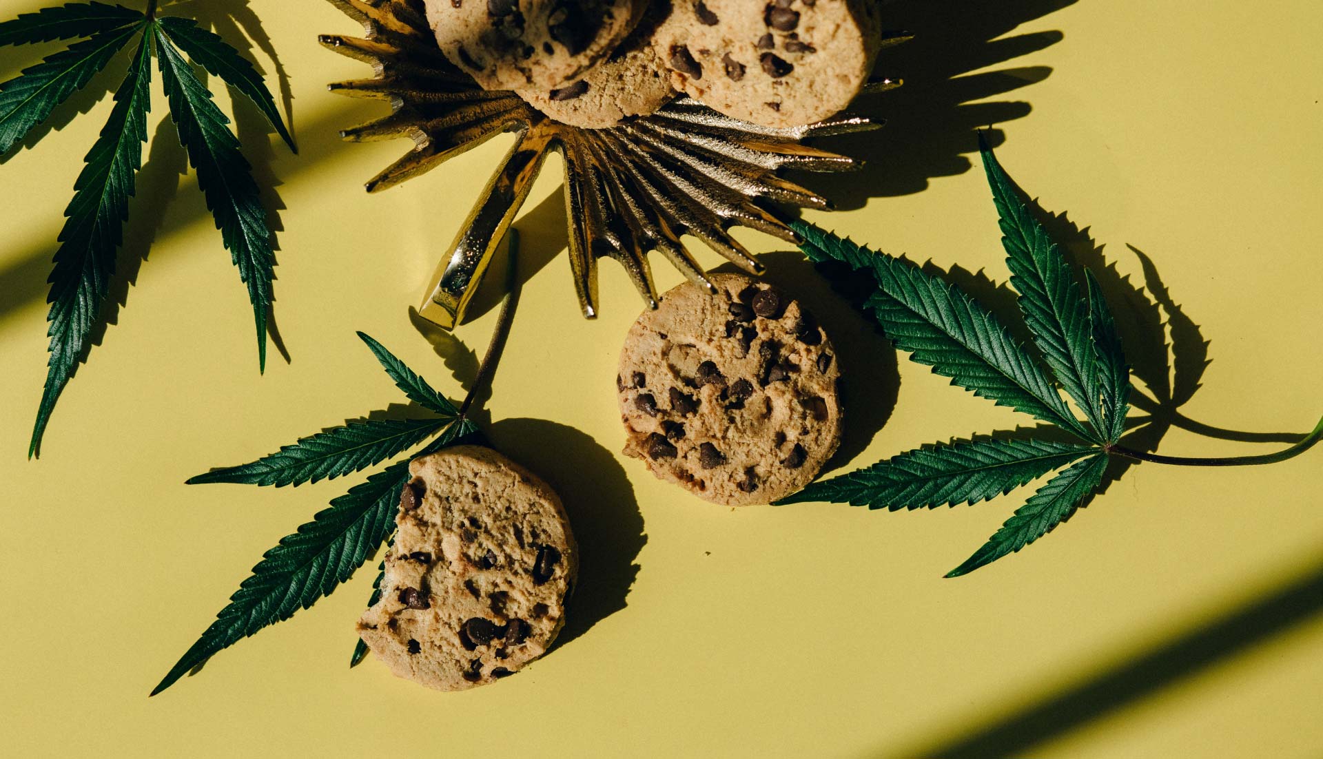 Cookies and Leaves Cookies and Leaves