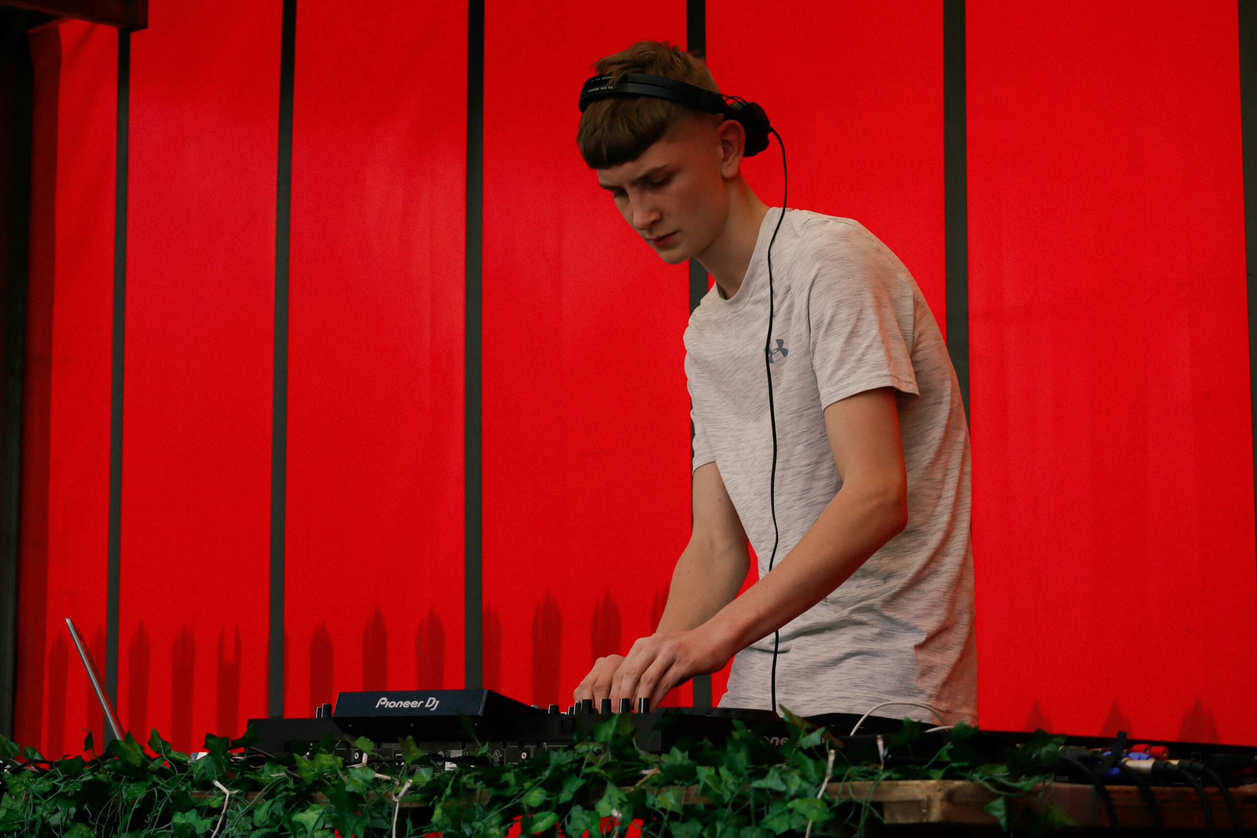 floricoltura-radaelli-noleggio-piante-concerto-3